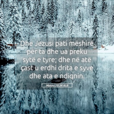Picture 05 - Mateu 20:34 ALB - Dhe Jezusi pati mëshirë për ta dhe ua preku - Bible Verse Picture