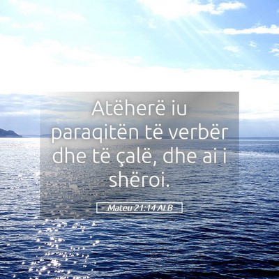 Picture 05 - Mateu 21:14 ALB - Atëherë iu paraqitën të verbër dhe të - Bible Verse Picture
