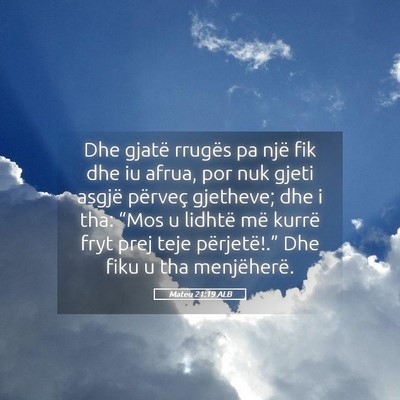 Picture 05 - Mateu 21:19 ALB - Dhe gjatë rrugës pa një fik dhe iu afrua, por - Bible Verse Picture