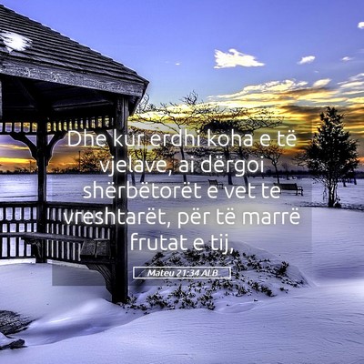 Picture 05 - Mateu 21:34 ALB - Dhe kur erdhi koha e të vjelave, ai dërgoi - Bible Verse Picture