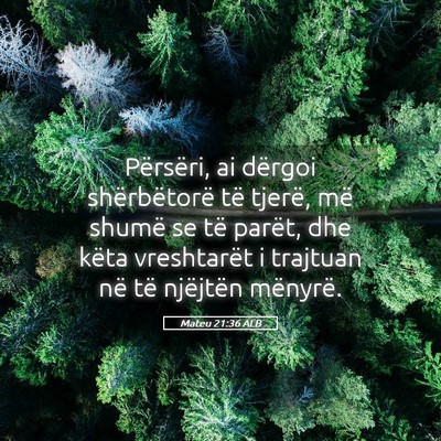 Picture 05 - Mateu 21:36 ALB - Përsëri, ai dërgoi shërbëtorë të tjerë, - Bible Verse Picture