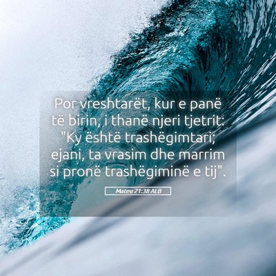 Picture 05 - Mateu 21:38 ALB - Por vreshtarët, kur e panë të birin, i thanë - Bible Verse Picture