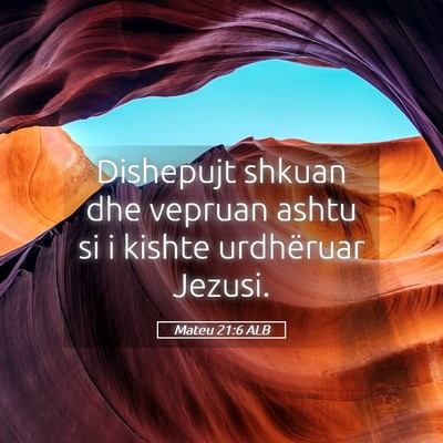 Picture 05 - Mateu 21:6 ALB - Dishepujt shkuan dhe vepruan ashtu si i kishte - Bible Verse Picture