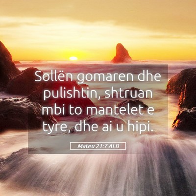 Picture 05 - Mateu 21:7 ALB - Sollën gomaren dhe pulishtin, shtruan mbi to - Bible Verse Picture