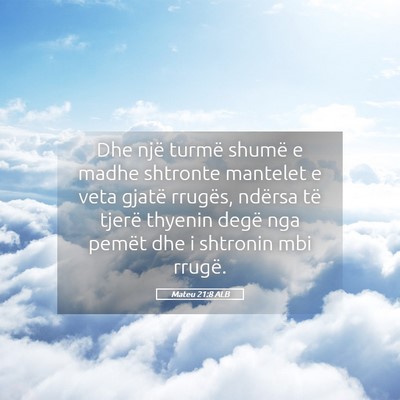 Picture 05 - Mateu 21:8 ALB - Dhe një turmë shumë e madhe shtronte mantelet - Bible Verse Picture