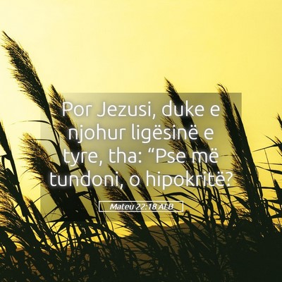 Picture 05 - Mateu 22:18 ALB - Por Jezusi, duke e njohur ligësinë e tyre, tha: - Bible Verse Picture