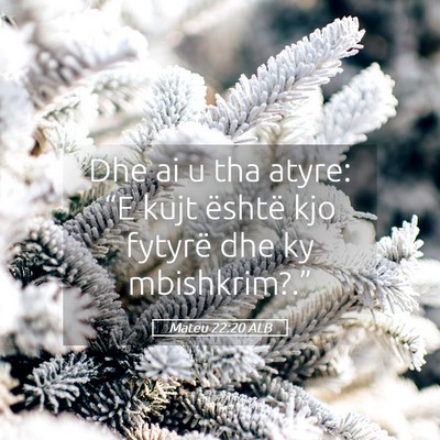 Picture 05 - Mateu 22:20 ALB - Dhe ai u tha atyre: “E kujt është kjo fytyrë - Bible Verse Picture