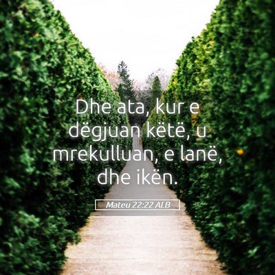 Picture 05 - Mateu 22:22 ALB - Dhe ata, kur e dëgjuan këtë, u mrekulluan, e - Bible Verse Picture