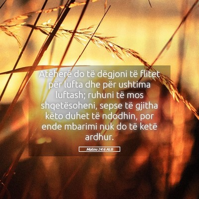 Picture 05 - Mateu 24:6 ALB - Atëherë do të dëgjoni të flitet për lufta - Bible Verse Picture