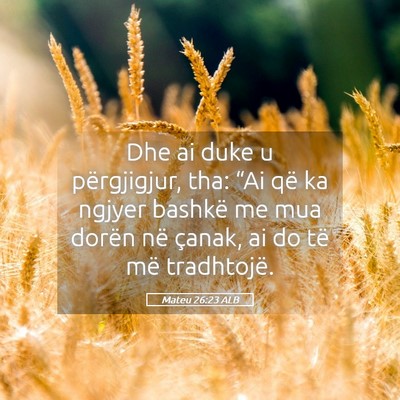 Picture 05 - Mateu 26:23 ALB - Dhe ai duke u përgjigjur, tha: “Ai që ka - Bible Verse Picture