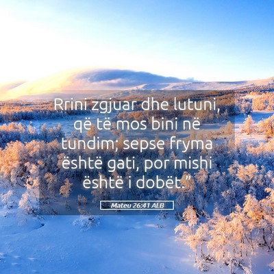 Picture 05 - Mateu 26:41 ALB - Rrini zgjuar dhe lutuni, që të mos bini në - Bible Verse Picture