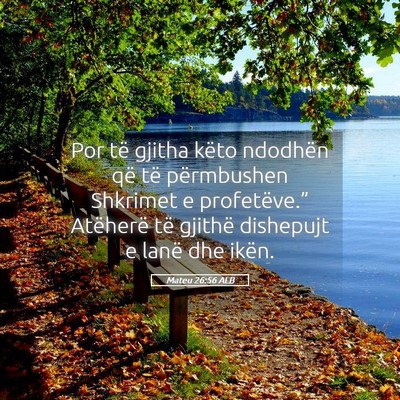 Picture 05 - Mateu 26:56 ALB - Por të gjitha këto ndodhën që të përmbushen - Bible Verse Picture