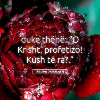 Picture 05 - Mateu 26:68 ALB - duke thënë: “O Krisht, profetizo! Kush të - Bible Verse Picture