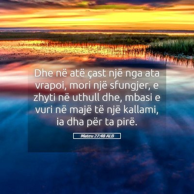 Picture 05 - Mateu 27:48 ALB - Dhe në atë çast një nga ata vrapoi, mori një - Bible Verse Picture