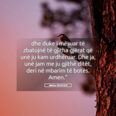 Picture 05 - Mateu 28:20 ALB - dhe duke i mësuar të zbatojnë të gjitha - Bible Verse Picture