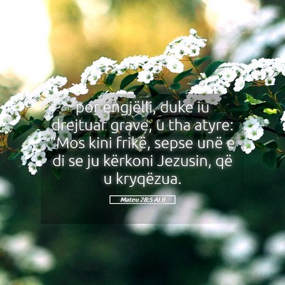 Picture 05 - Mateu 28:5 ALB - por engjëlli, duke iu drejtuar grave, u tha - Bible Verse Picture