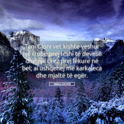 Picture 05 - Mateu 3:4 ALB - Tani Gjoni vet kishte veshur një rrobë prej - Bible Verse Picture