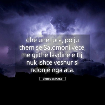 Picture 05 - Mateu 6:29 ALB - dhe unë, pra, po ju them se Salomoni vetë, me - Bible Verse Picture