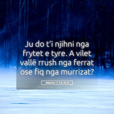Picture 05 - Mateu 7:16 ALB - Ju do t’i njihni nga frytet e tyre. A vilet - Bible Verse Picture