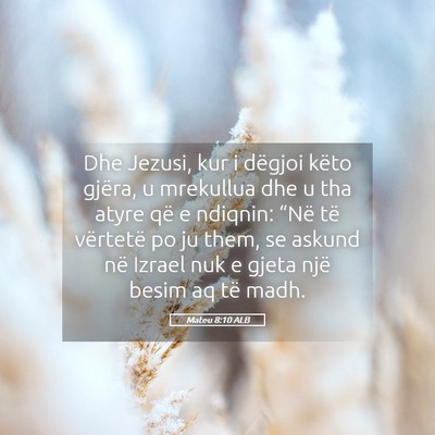 Picture 05 - Mateu 8:10 ALB - Dhe Jezusi, kur i dëgjoi këto gjëra, u - Bible Verse Picture