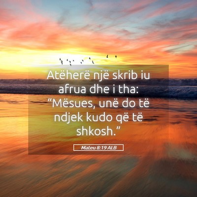 Picture 05 - Mateu 8:19 ALB - Atëherë një skrib iu afrua dhe i tha: - Bible Verse Picture