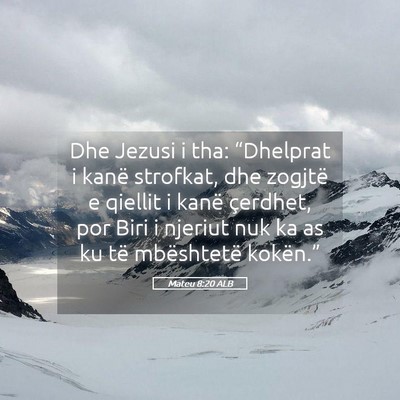 Picture 05 - Mateu 8:20 ALB - Dhe Jezusi i tha: “Dhelprat i kanë strofkat, - Bible Verse Picture