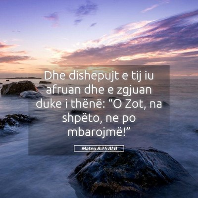 Picture 05 - Mateu 8:25 ALB - Dhe dishepujt e tij iu afruan dhe e zgjuan duke i - Bible Verse Picture