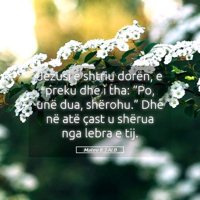 Picture 05 - Mateu 8:3 ALB - Jezusi e shtriu dorën, e preku dhe i tha: “Po, - Bible Verse Picture