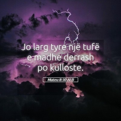 Picture 05 - Mateu 8:30 ALB - Jo larg tyre një tufë e madhe derrash po - Bible Verse Picture