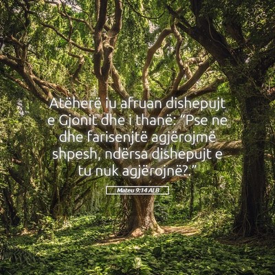 Picture 05 - Mateu 9:14 ALB - Atëherë iu afruan dishepujt e Gjonit dhe i - Bible Verse Picture