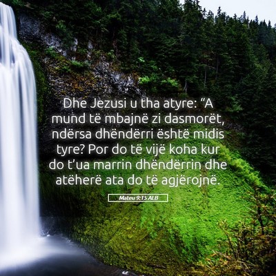 Picture 05 - Mateu 9:15 ALB - Dhe Jezusi u tha atyre: “A mund të mbajnë zi - Bible Verse Picture