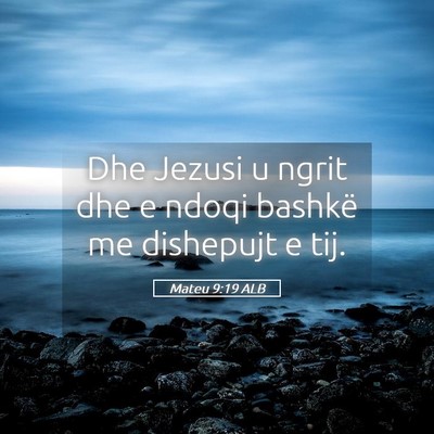 Picture 05 - Mateu 9:19 ALB - Dhe Jezusi u ngrit dhe e ndoqi bashkë me - Bible Verse Picture