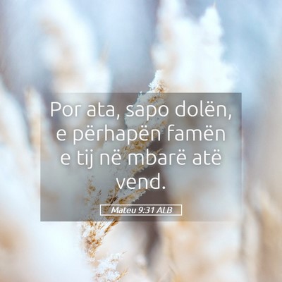 Picture 05 - Mateu 9:31 ALB - Por ata, sapo dolën, e përhapën famën e tij - Bible Verse Picture