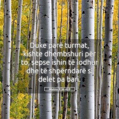 Picture 05 - Mateu 9:36 ALB - Duke parë turmat, kishte dhembshuri për to, - Bible Verse Picture