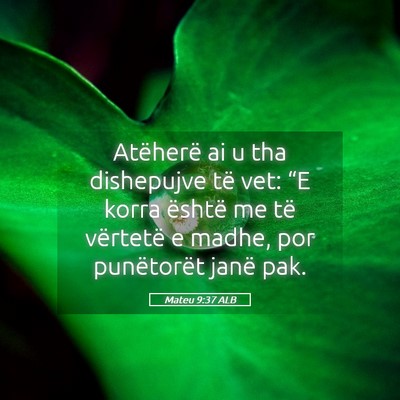 Picture 05 - Mateu 9:37 ALB - Atëherë ai u tha dishepujve të vet: “E korra - Bible Verse Picture