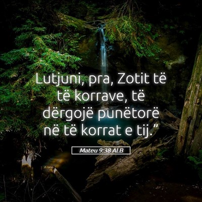 Picture 05 - Mateu 9:38 ALB - Lutjuni, pra, Zotit të të korrave, të - Bible Verse Picture