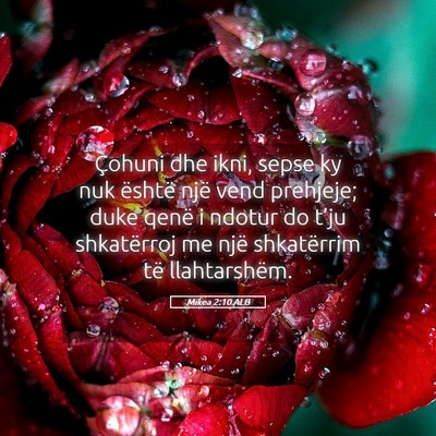 Picture 05 - Mikea 2:10 ALB - Çohuni dhe ikni, sepse ky nuk është një vend - Bible Verse Picture