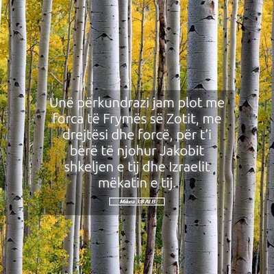 Picture 05 - Mikea 3:8 ALB - Unë përkundrazi jam plot me forca të Frymës - Bible Verse Picture