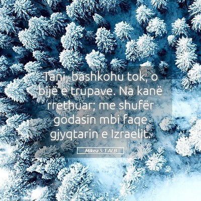 Picture 05 - Mikea 5:1 ALB - Tani, bashkohu tok, o bijë e trupave. Na kanë - Bible Verse Picture