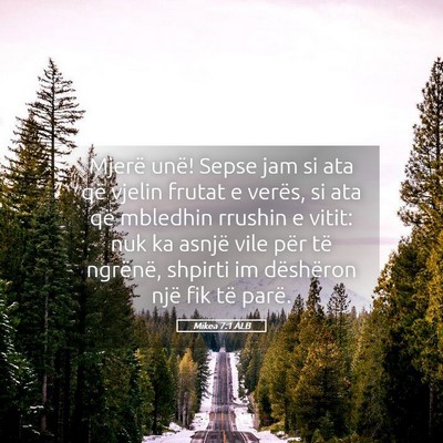 Picture 05 - Mikea 7:1 ALB - Mjerë unë! Sepse jam si ata që vjelin frutat e - Bible Verse Picture