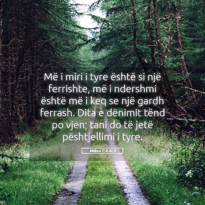 Picture 05 - Mikea 7:4 ALB - Më i miri i tyre është si një ferrishte, më - Bible Verse Picture