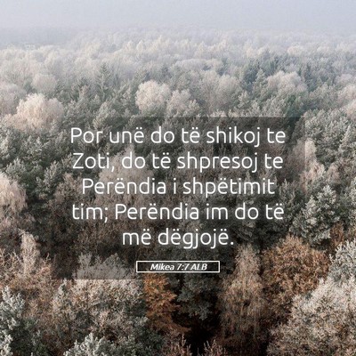 Picture 05 - Mikea 7:7 ALB - Por unë do të shikoj te Zoti, do të shpresoj - Bible Verse Picture
