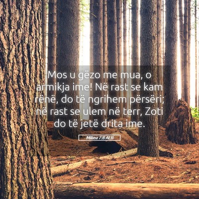 Picture 05 - Mikea 7:8 ALB - Mos u gëzo me mua, o armikja ime! Në rast se - Bible Verse Picture