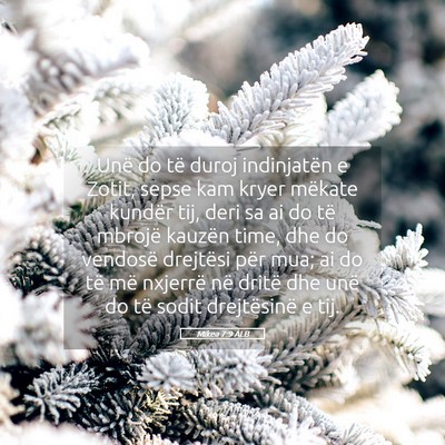 Picture 05 - Mikea 7:9 ALB - Unë do të duroj indinjatën e Zotit, sepse kam - Bible Verse Picture