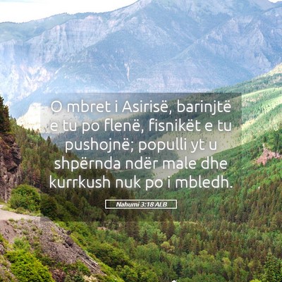 Picture 05 - Nahumi 3:18 ALB - O mbret i Asirisë, barinjtë e tu po flenë, - Bible Verse Picture