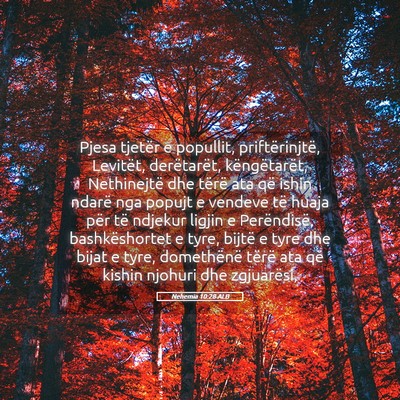 Picture 05 - Nehemia 10:28 ALB - Pjesa tjetër e popullit, priftërinjtë, - Bible Verse Picture