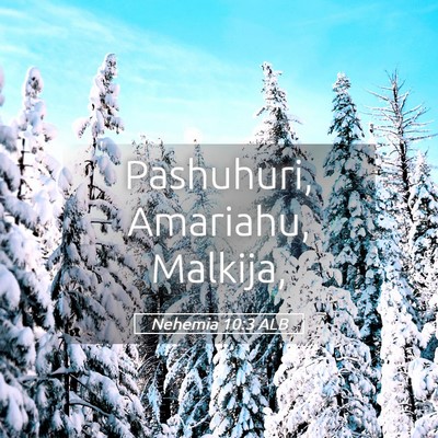 Picture 05 - Nehemia 10:3 ALB - Pashuhuri, Amariahu, - Bible Verse Picture