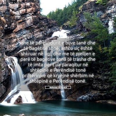 Picture 05 - Nehemia 10:36 ALB - dhe të parëlindurit e bijve tanë dhe të - Bible Verse Picture