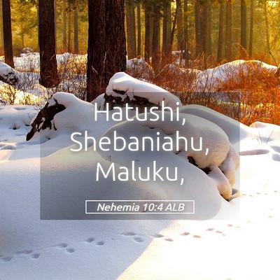 Picture 05 - Nehemia 10:4 ALB - Hatushi, Shebaniahu, - Bible Verse Picture