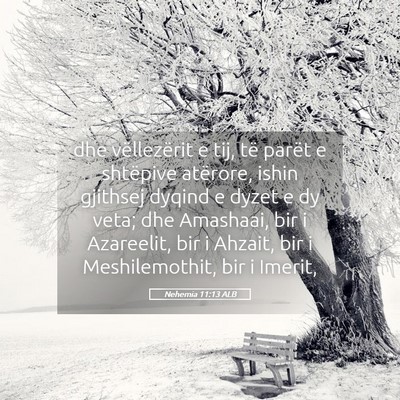 Picture 05 - Nehemia 11:13 ALB - dhe vëllezërit e tij, të parët e shtëpive - Bible Verse Picture